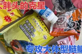 钓鲢鳙，还是这款配方厉害，两个小时干三头小猪仔差不多60斤！视频封面