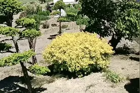 日本北海道农村 空气很好 只是这里看起来总是冷清清的 看不到人视频封面