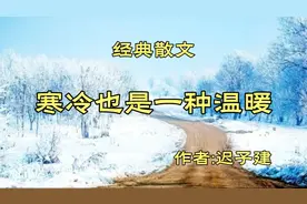 《寒冷也是一种温暖》作者，迟子建视频封面