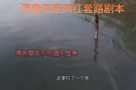 深度还原某主播套路剧本，揭秘鳝鱼水面漏头骗局，都是假的视频封面