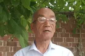 秋豆角选择最佳时间种，不仅结的豆角多，还能延长采摘期。