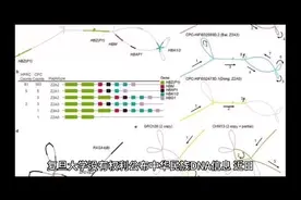 复旦大学没有权力公布中华民族DNA信息 。近日，复旦大学研究机构视频封面
