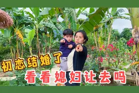 前女友结婚到底该不该去？小放试探媳妇底线，媳妇的回答让人吃惊