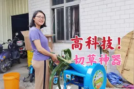 370元网购一台切草机，给公公养鱼，看这切草效果有点坑人！视频封面