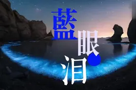 蓝眼泪的形成视频封面