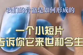人体骨骼是如何形成的，从无到有，整个童到青春期后骨骼都在生长视频封面