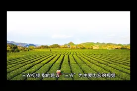 三农视频的远景与价值视频封面