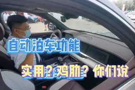 星越L，落地20万的国产车，自动泊车功能这么强悍，国货之光真帅视频封面