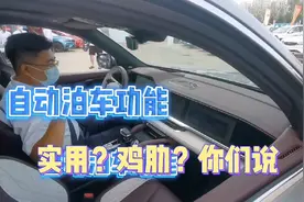 星越L，落地20万的国产车，自动泊车功能这么强悍，国货之光真帅视频封面