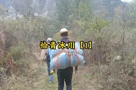 探秘西藏最大的海洋性冰川“恰青冰川”徒步35公里穿越原始森林视频封面