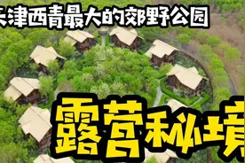 自驾游天津西青最大的郊野公园，万米环湖栈道，森林中的露营秘境视频封面