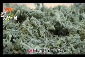 茵陈的副作用与禁忌！视频封面