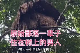 云南大山深处有这样一个原始部落，里面住着三百个女人七个男人视频封面