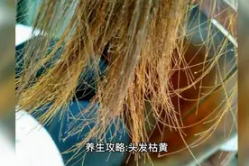 养生攻略:头发枯黄调理.乌发攻略视频封面
