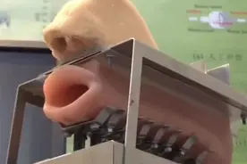 日本发明人造声带，可以正常说话了