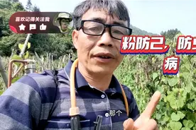 粉防己，防虫防病视频封面