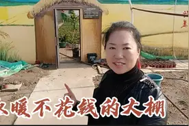 黑龙江一农家建的新型大棚，冬天取暖不花一分钱，大棚效益可观视频封面