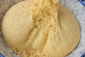 多吃粗粮好处多，玉米面这样做宣软不发粘，比外面买的还好吃