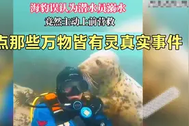 盘点万物皆有灵真实事件，狗狗不顾一切冲进火海救主人，让人泪目视频封面