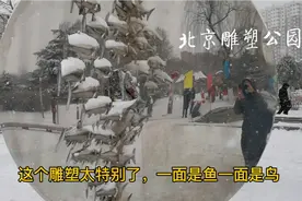 北京国际雕塑公园 大雪纷飞中欣赏 400多个雕塑灵动了视频封面