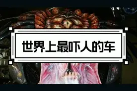 世界上最吓人的车开视频封面