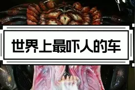 世界上最吓人的车开视频封面