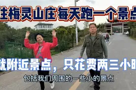 我们住在苏州西山梅灵山庄每天跑一个景点，花费两三个小时很休闲视频封面