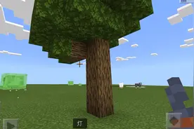 我的世界：种树技巧