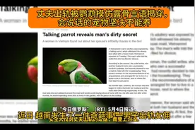 丈夫出轨被鹦鹉模仿露骨言语揭穿，网友：会说话的宠物坚决不养视频封面