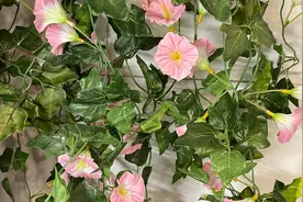 《梁山伯与祝英台》（钢琴版）陈钢 何占豪 曲 演奏：赵健视频封面