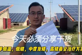 羊发烧了怎么办？该打什么针？农村小伙教你简单省钱的治疗方法。视频封面