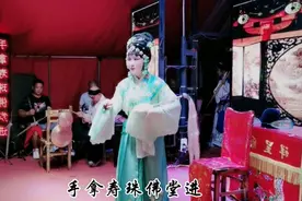这个女子好痴情，思夫望断肠，湖北荆州花鼓戏 刘秀登基选段视频封面