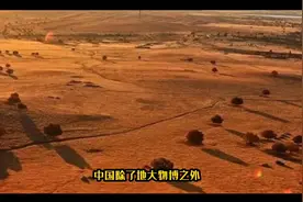 美籍华人被驱赶出美国，并被取消国籍，中国的做法令人佩服！视频封面