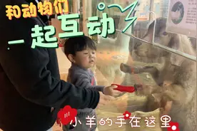 宝宝好喜欢这里，给各种动物喂食，追着鹦鹉说话，长见识又好玩