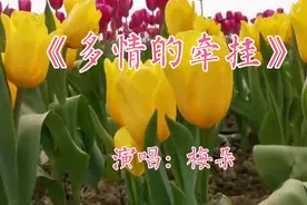 梅朵《多情的牵挂》想问问你也想过我吗，可知道我还在把你牵挂视频封面