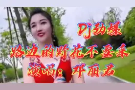 甜美Dj情歌《路边的野花不要采》演唱：邓丽君
