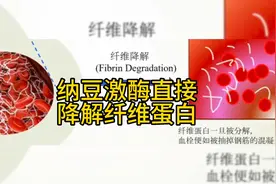 纳豆激酶直接溶化血栓 无需激活即可做到视频封面