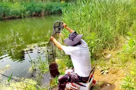 济南黄河北大寺河休闲野钓好地方！风景很美这鱼情咋样？实地看看视频封面