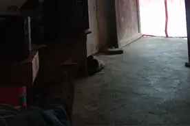 囡囡视频封面