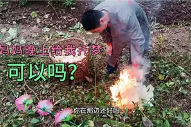 刚从广州回到四川农村，清理坟头草祭拜，希望妈妈托梦指点出路视频封面