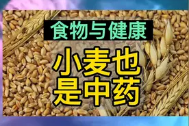 小麦也是中药视频封面