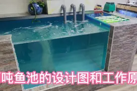网友们要的两吨的鱼池设计图出来了，建池养锦鲤不走弯路