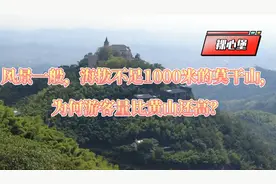 风景一般，海拔不足1000米的莫干山，为何游客量比黄山还高？视频封面