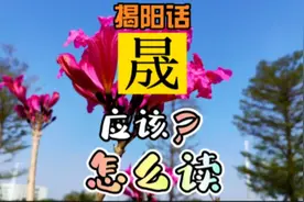揭阳话“晟”应该怎么读#我要上热门#揭阳话#潮汕话#潮州话#方言视频封面