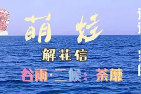 【国学】花信·谷雨·二候：荼蘼.花语：纯洁重生#身无彩凤双飞翼视频封面