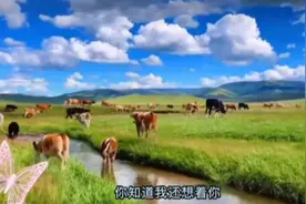 “这首歌我要送给你……”视频封面