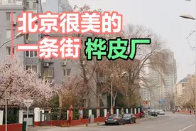 北京很美的一条街道，桦皮厂胡同，有老楼，落花，弯弯通向二环