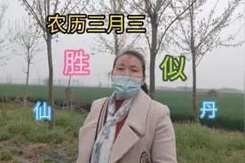 河南农村习俗，三月三荠菜煮鸡蛋吃了百病散，朋友们你们那里有吗视频封面