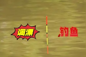 改良后的调漂方法，灵敏度提高2倍，浮漂每一个动作清晰可见视频封面