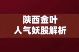 三分钟了解妖股陕西金叶视频封面